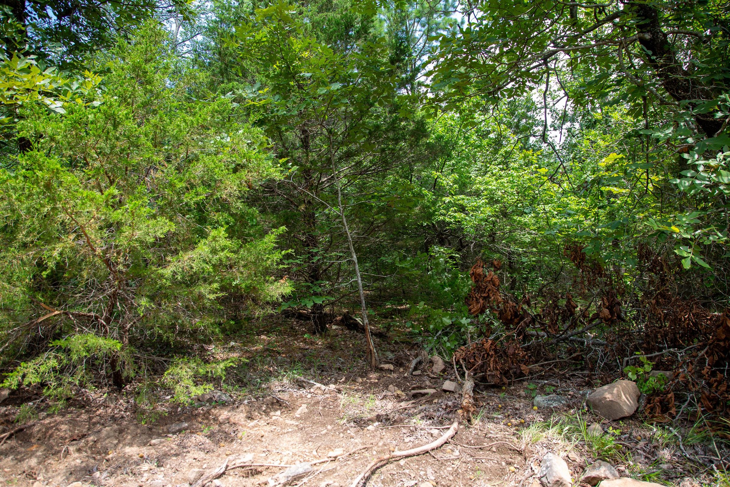 Tyler Stone Ranch Tract 34 photo 12