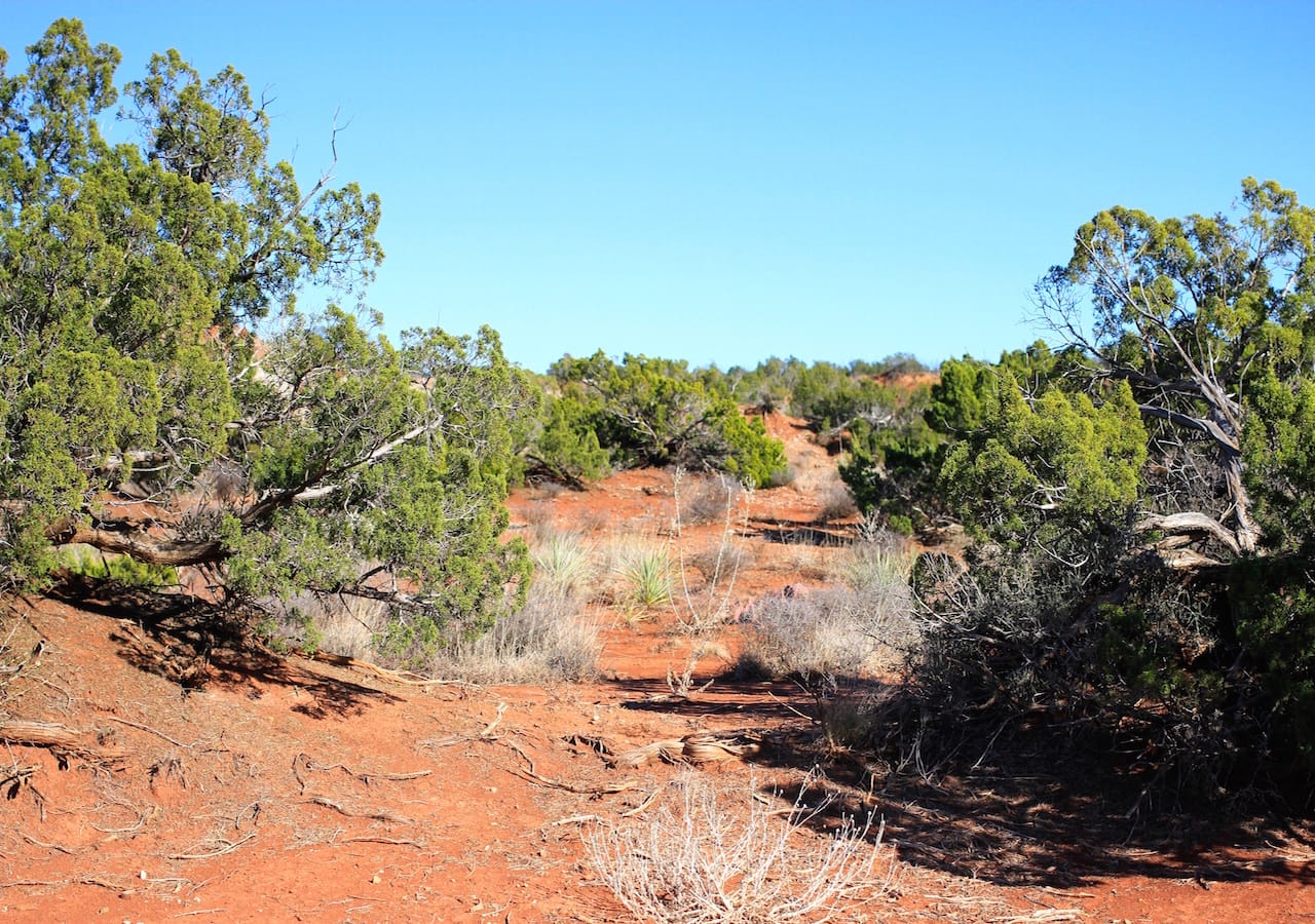 Red Rock Ranch Tract 26 photo 3