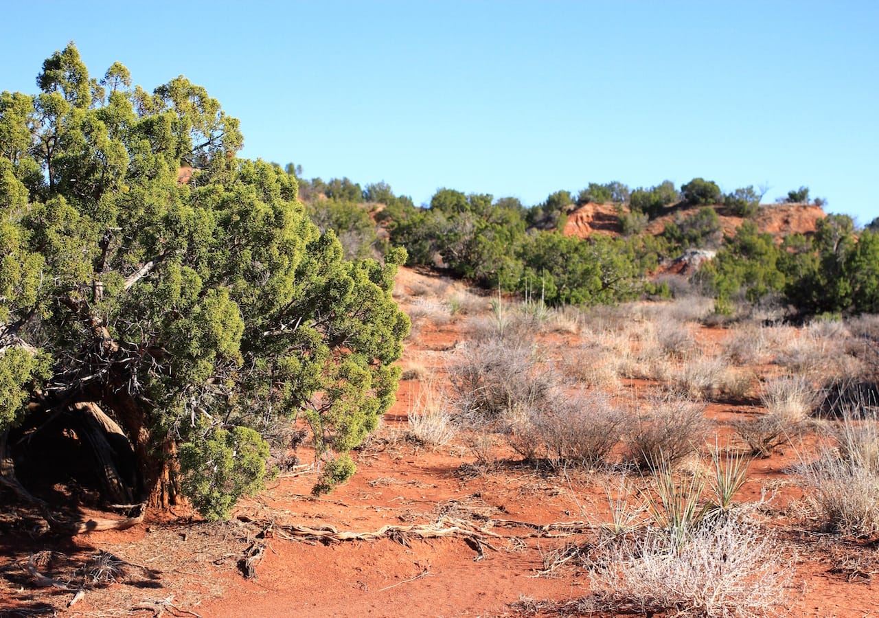 Red Rock Ranch Tract 26 photo 4