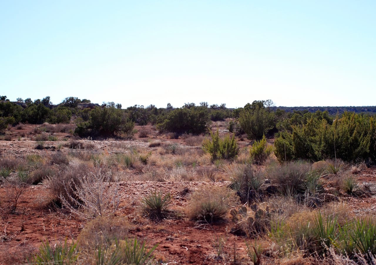 Red Rock Ranch Tract 26 photo 6