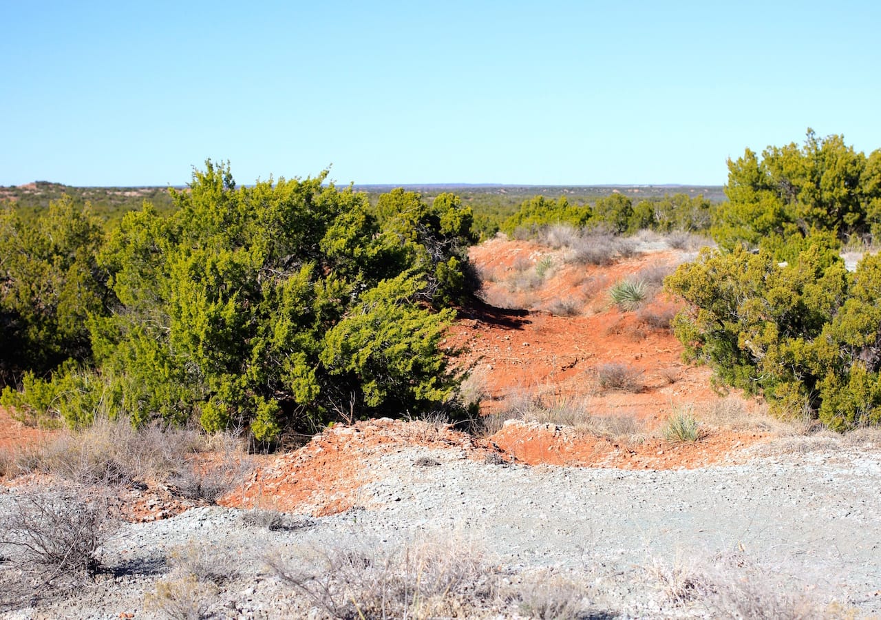 Red Rock Ranch Tract 26 photo 7