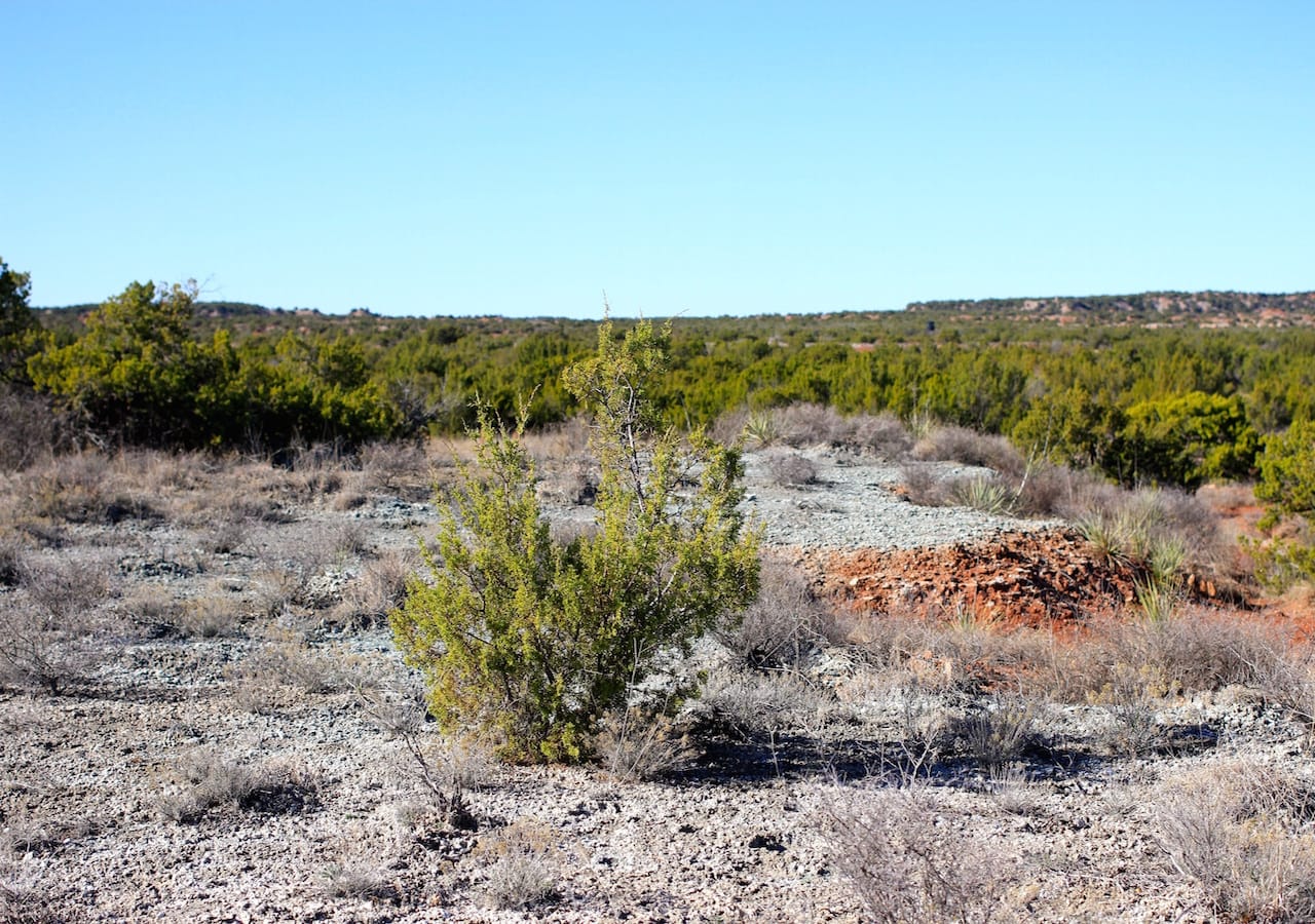 Red Rock Ranch Tract 26 photo 8
