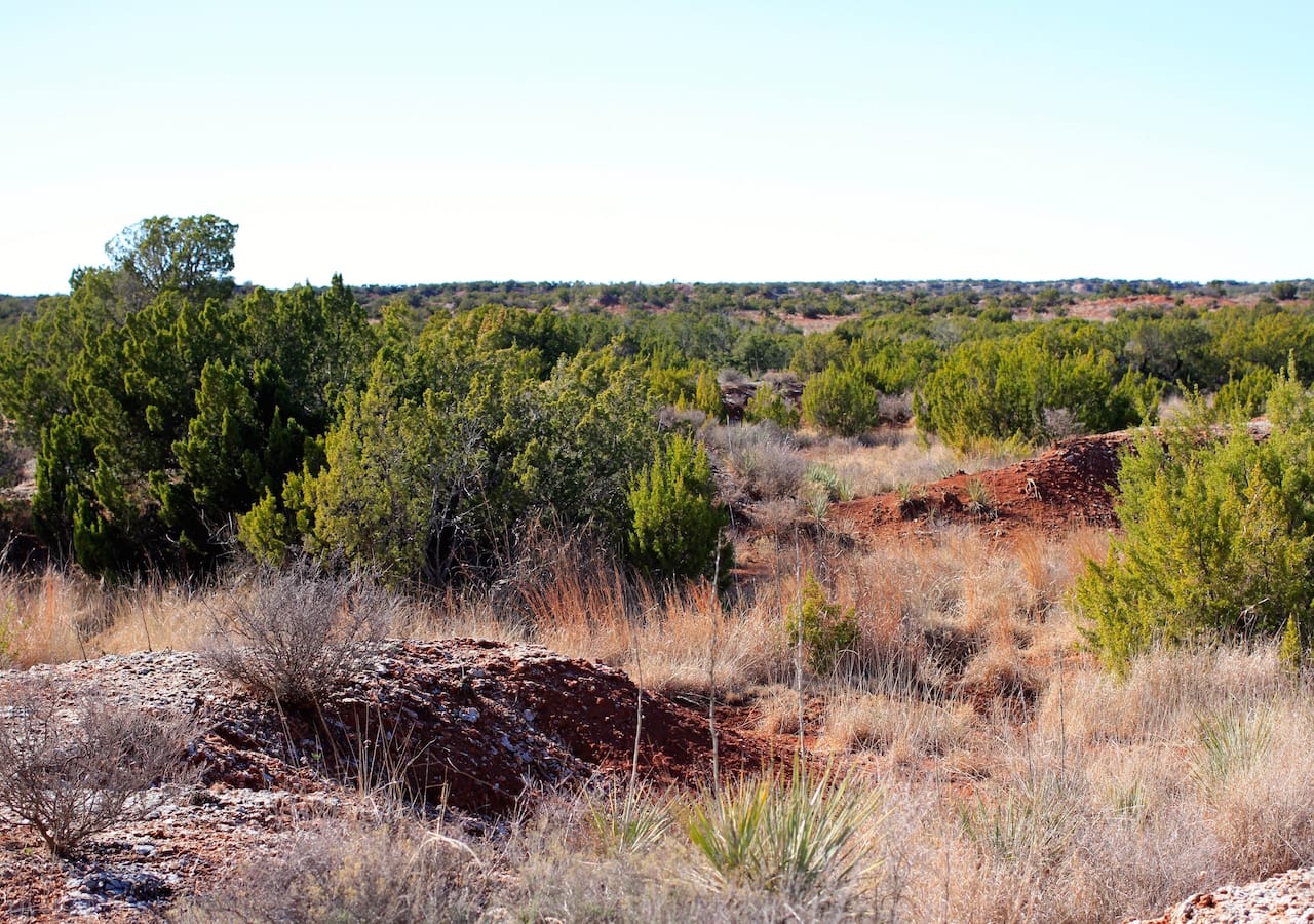 Red Rock Ranch Tract 26 photo 9