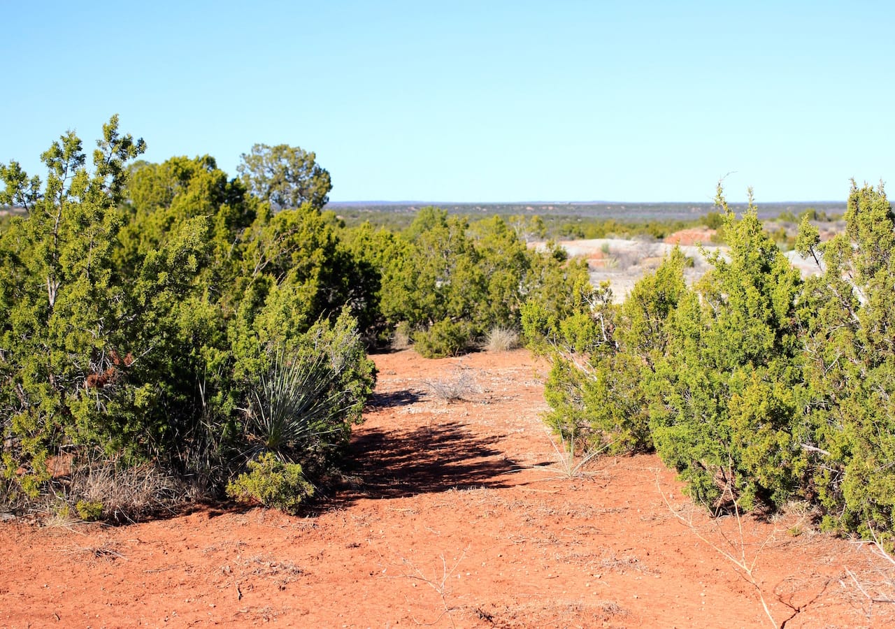 Red Rock Ranch Tract 26 photo 11