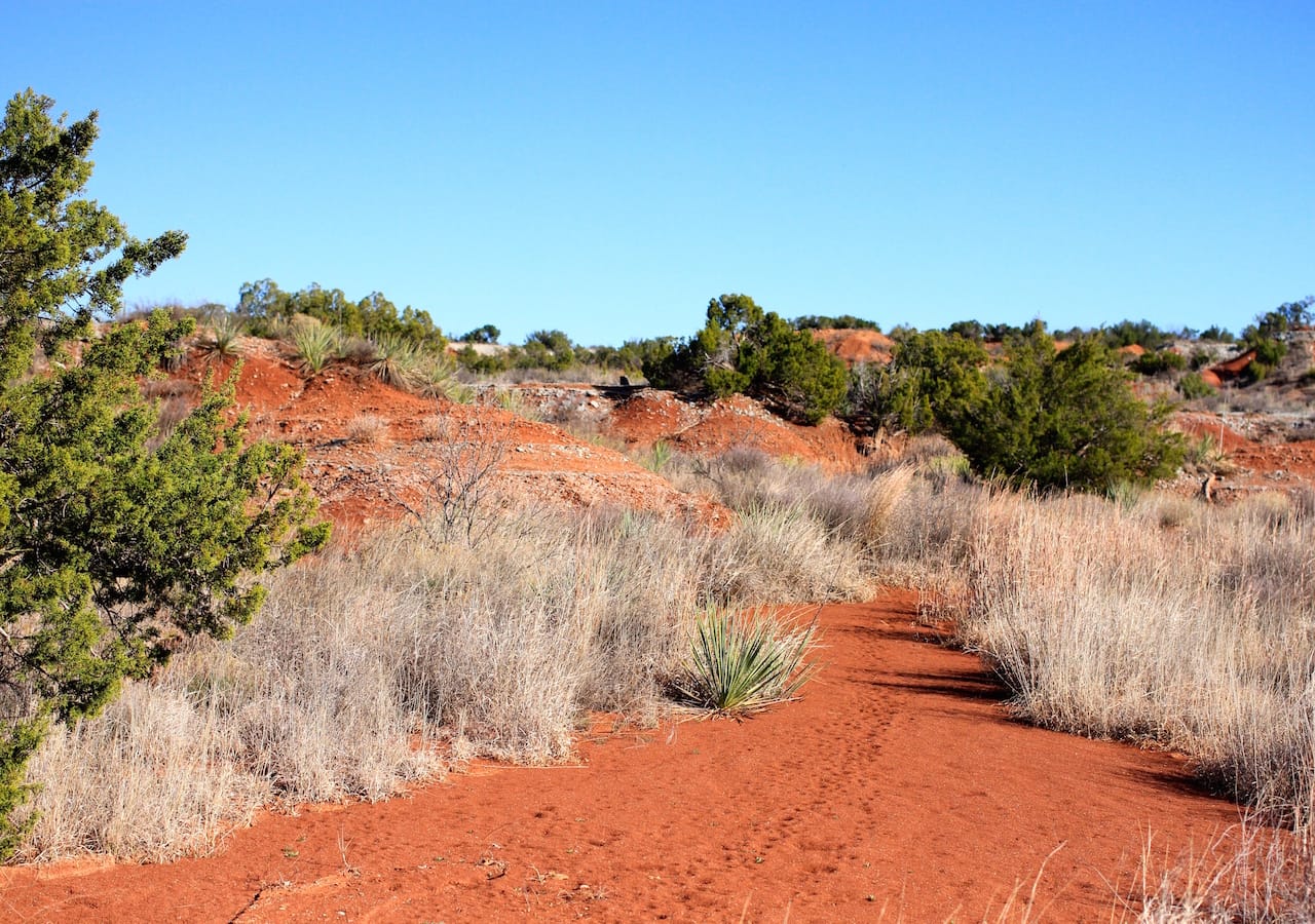 Red Rock Ranch Tract 26 photo 18