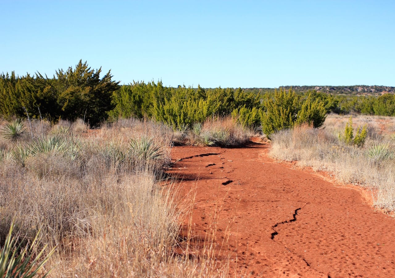 Red Rock Ranch Tract 26 photo 19