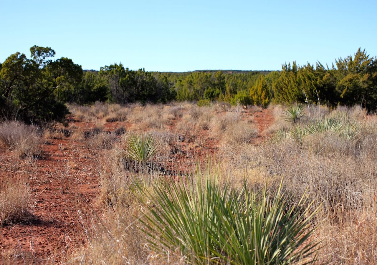 Red Rock Ranch Tract 26 photo 20