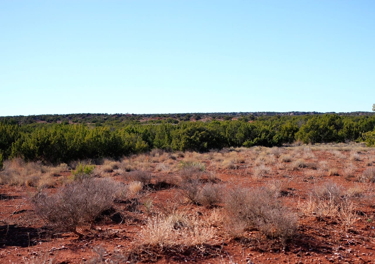 Red Rock Ranch Tract 26 photo 21
