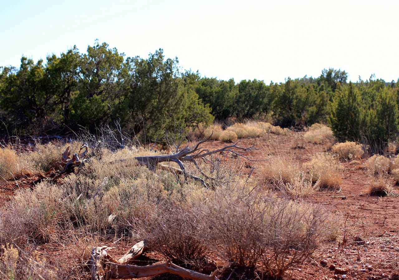 Red Rock Ranch Tract 26 photo 24