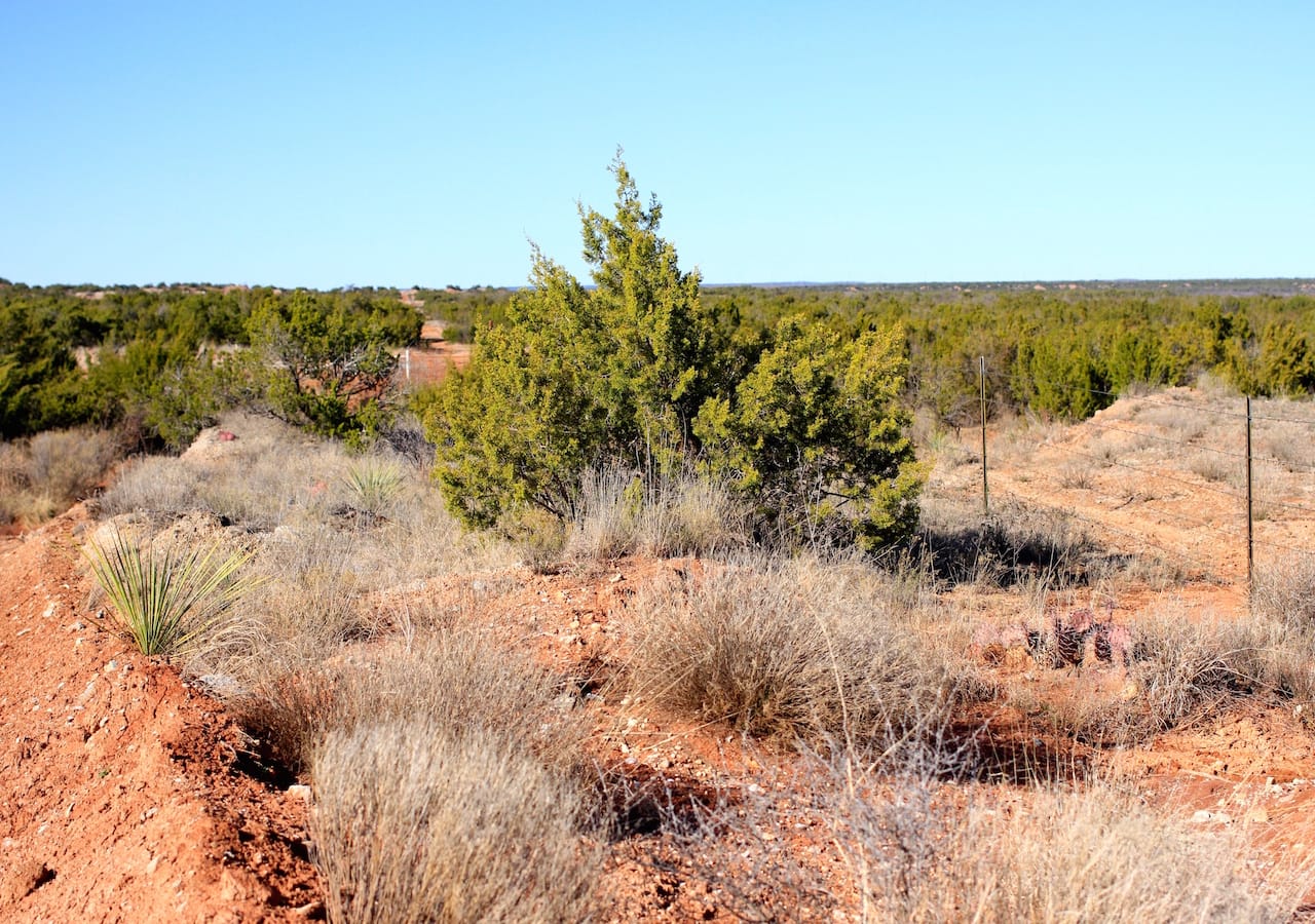 Red Rock Ranch Tract 26 photo 25
