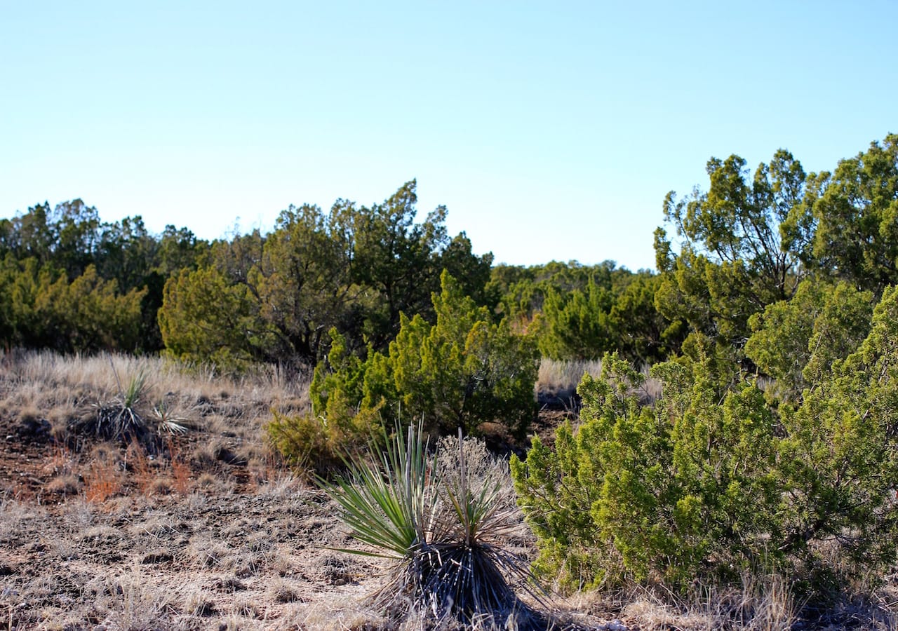 Red Rock Ranch Tract 26 photo 26