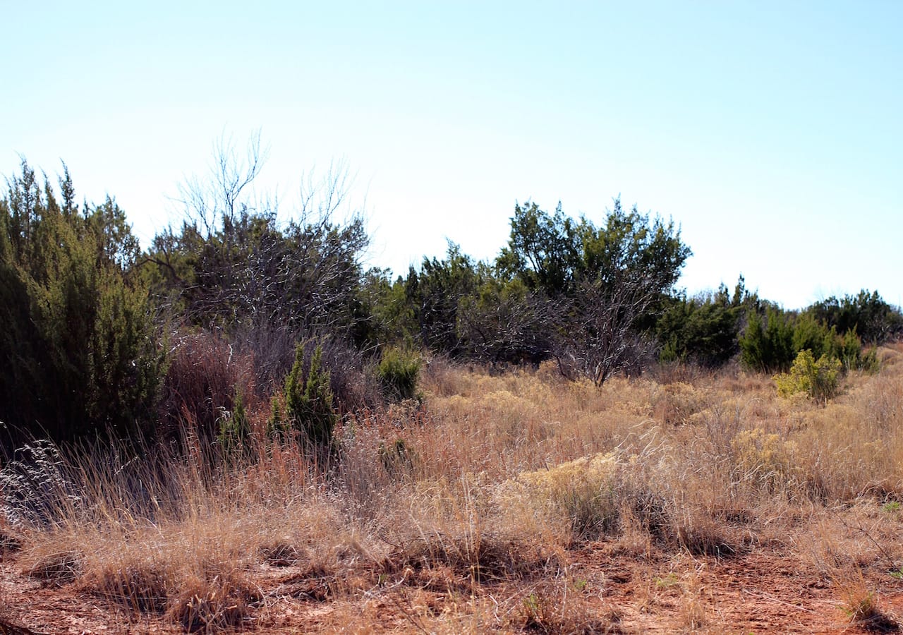 Red Rock Ranch Tract 26 photo 29