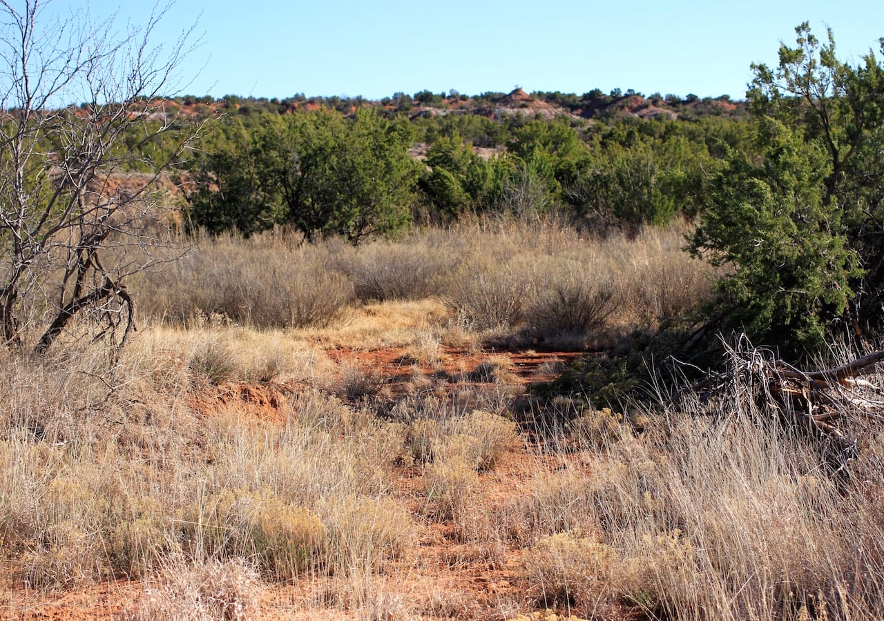 Red Rock Ranch Tract 26 photo 30