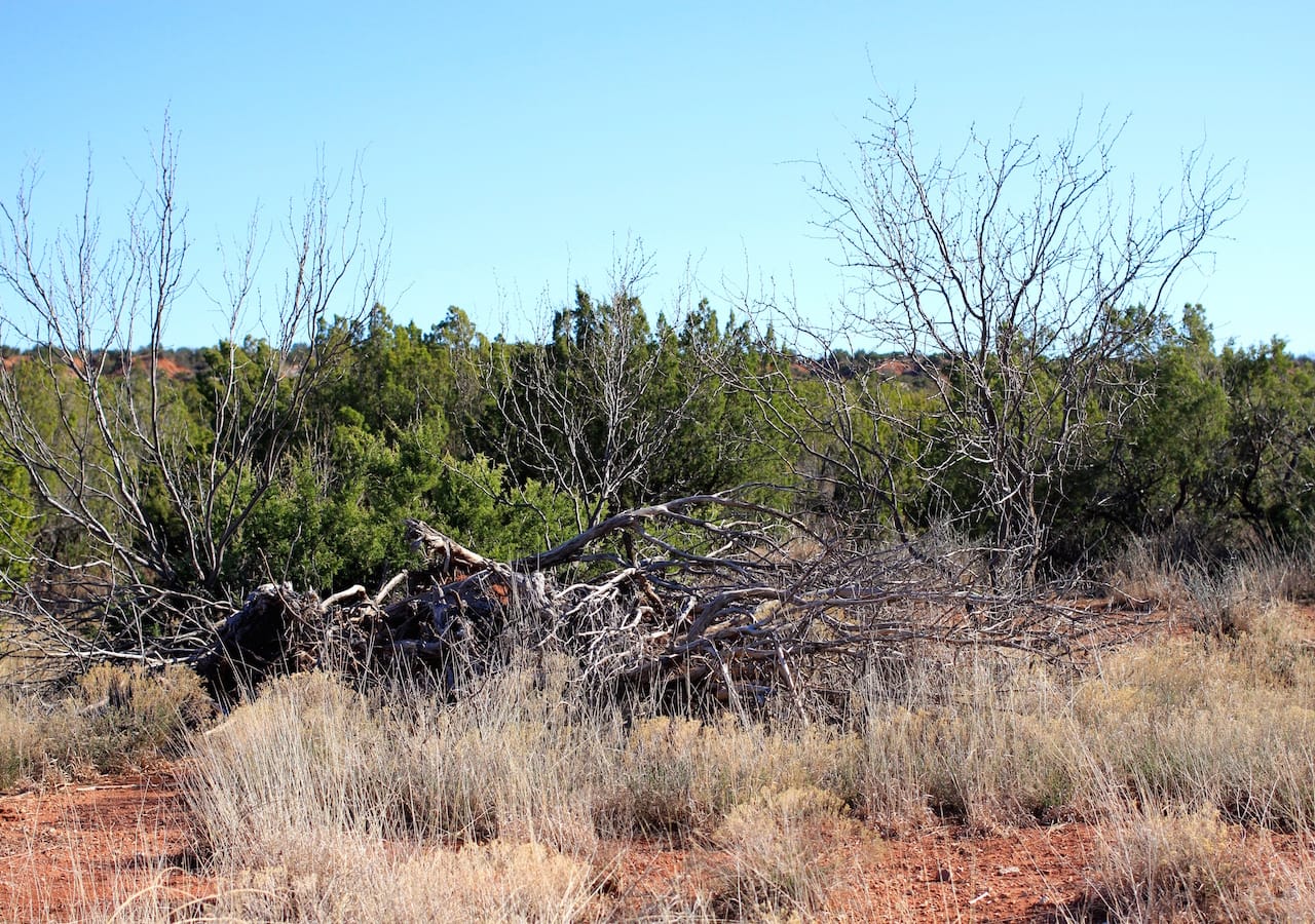 Red Rock Ranch Tract 26 photo 31