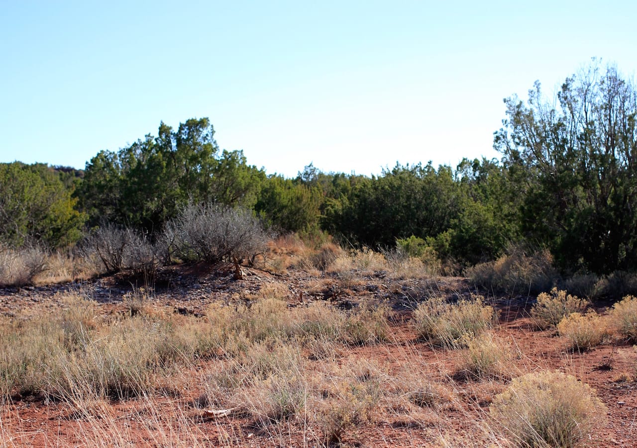 Red Rock Ranch Tract 26 photo 32