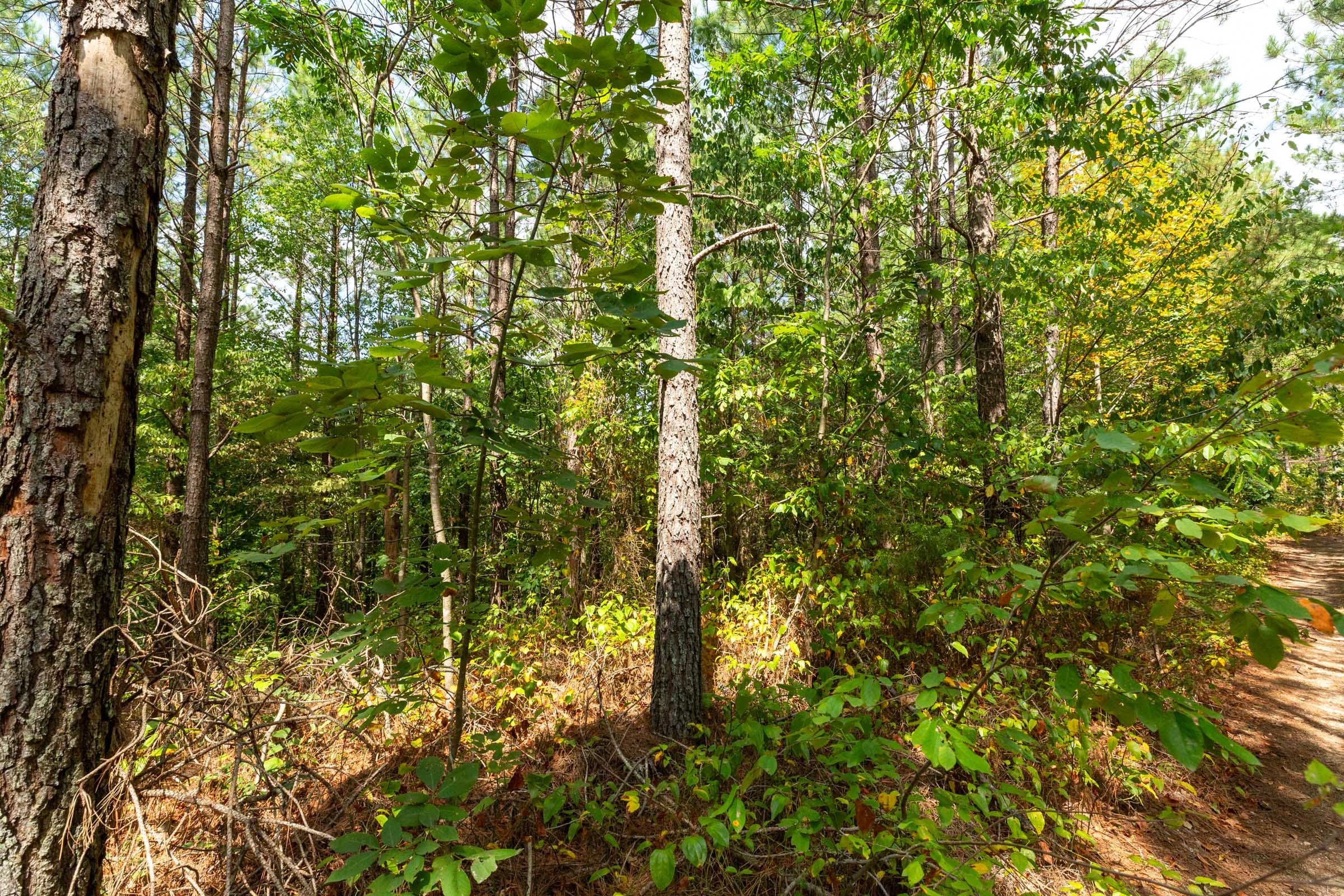 Harvest Ridge Tract 7 photo 2