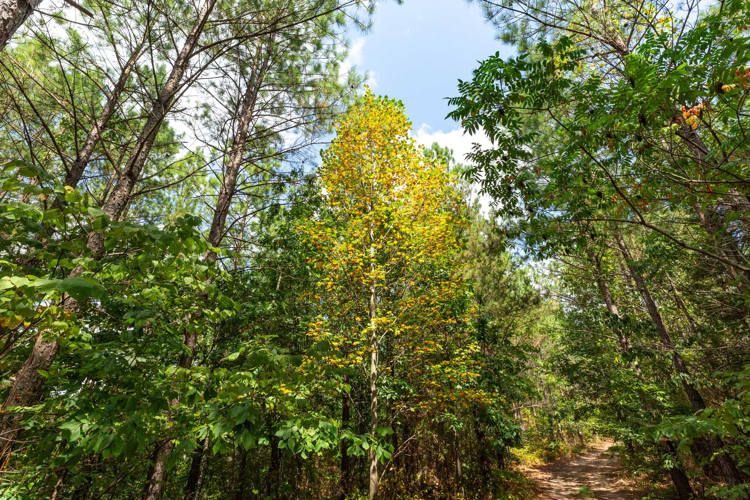 Harvest Ridge Tract 7 photo 3