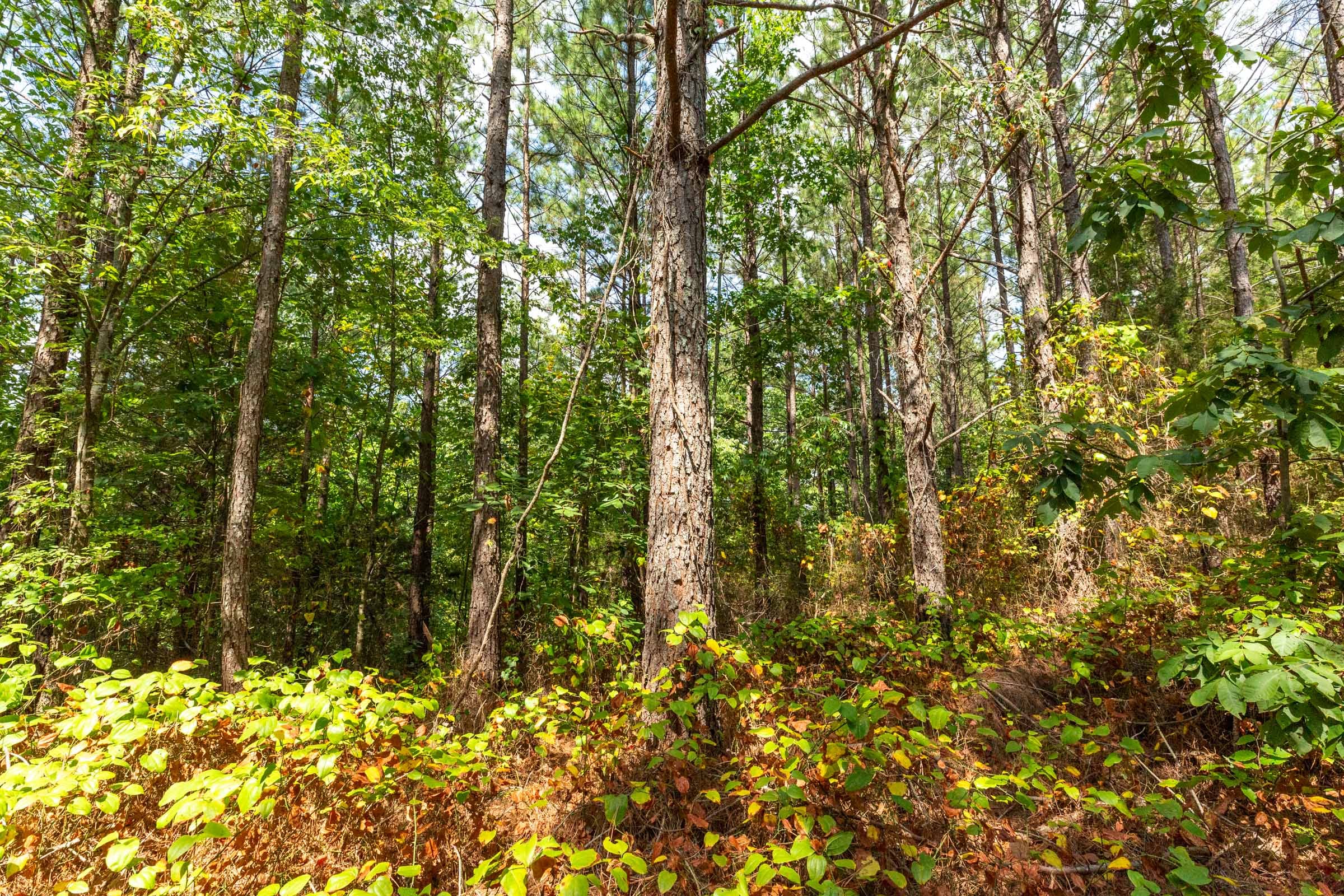 Harvest Ridge Tract 7 photo 9
