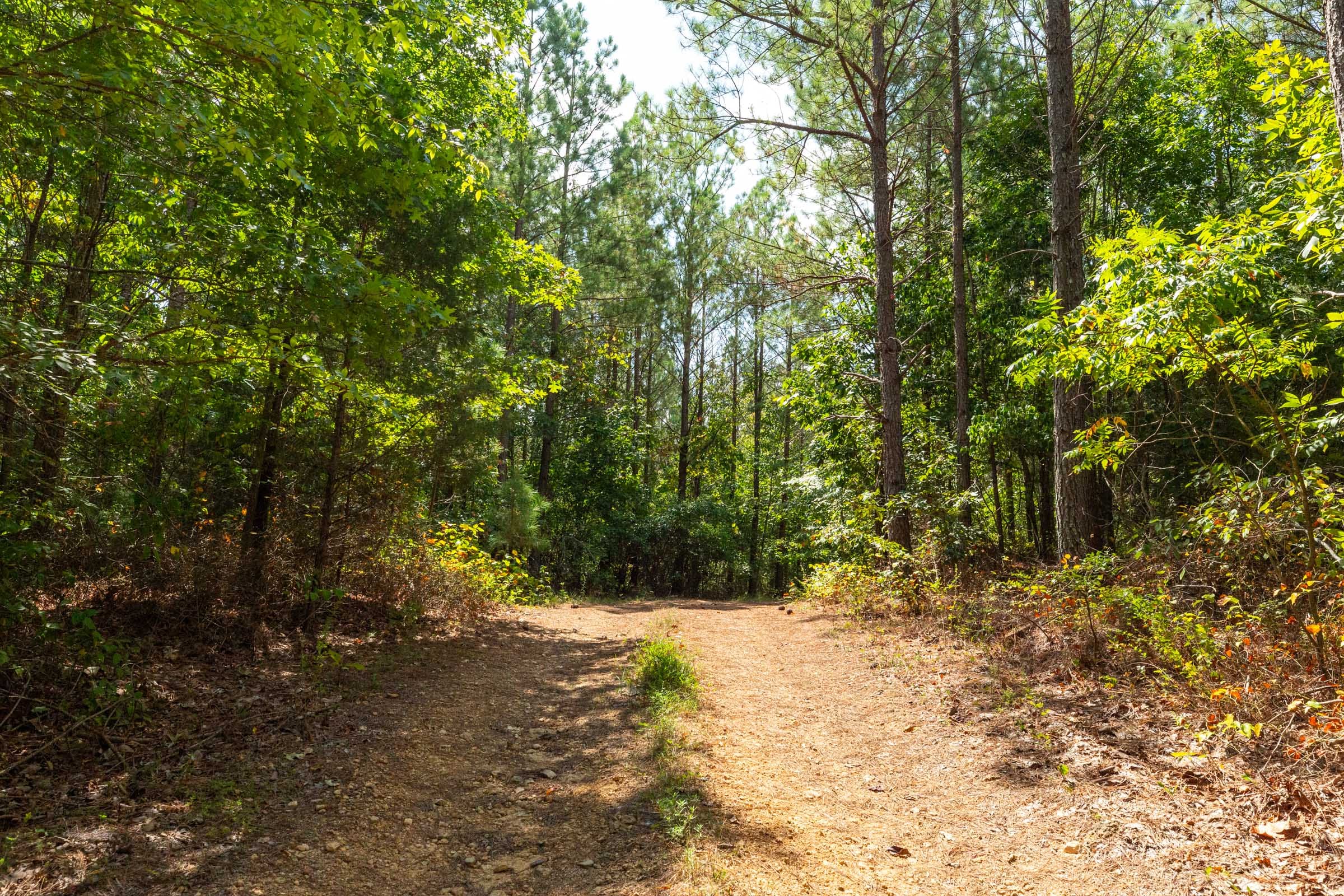 Harvest Ridge Tract 7 photo 1