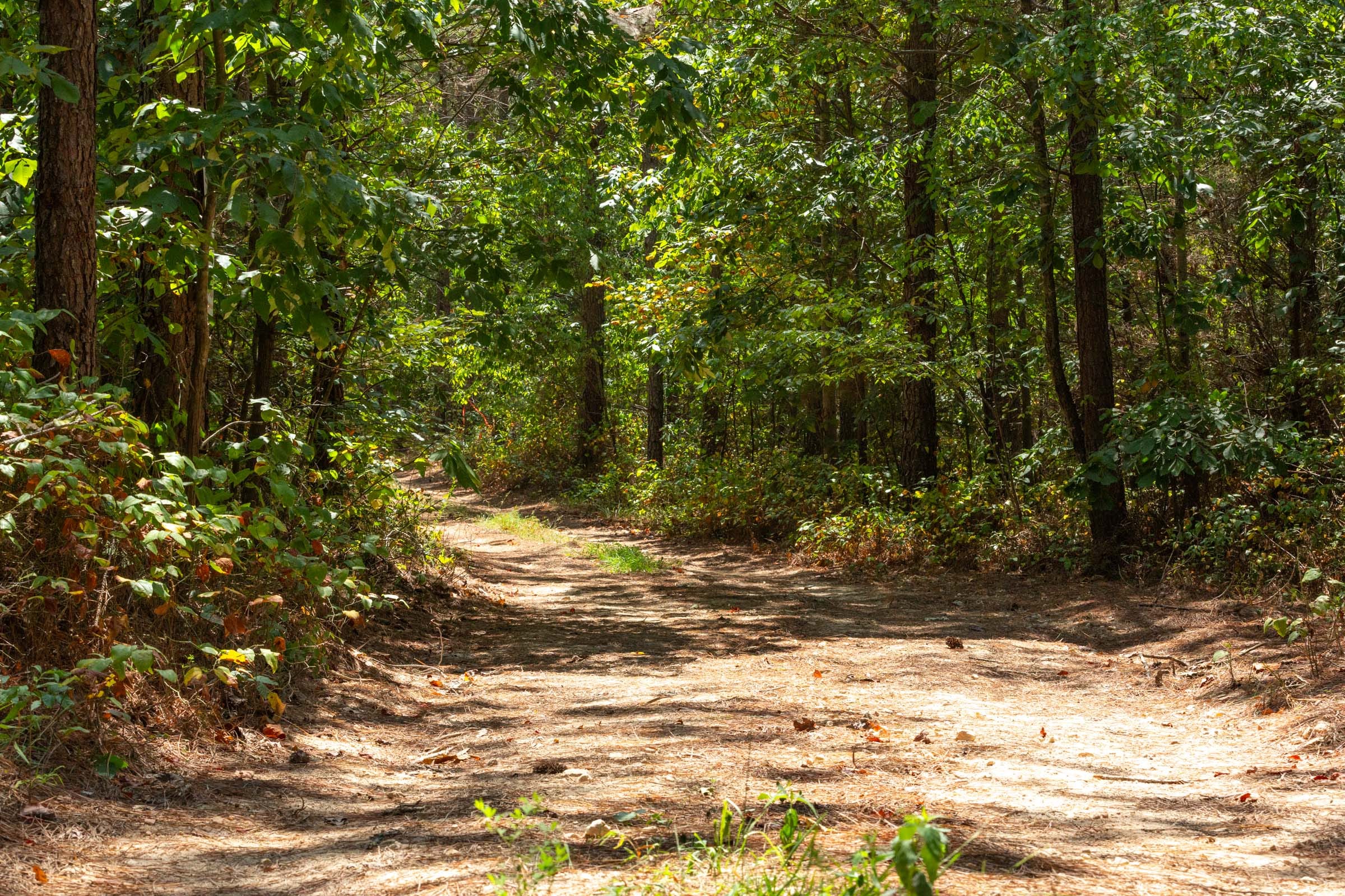 Harvest Ridge Tract 7 photo 7