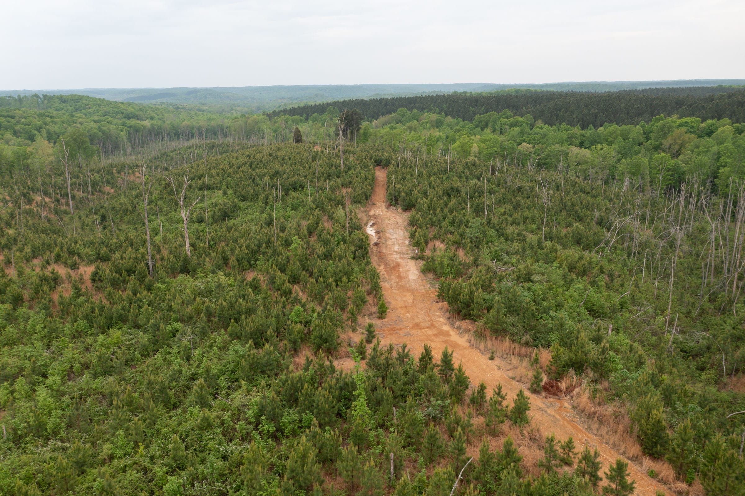 Red Barn Ranch Tract 37 photo 1