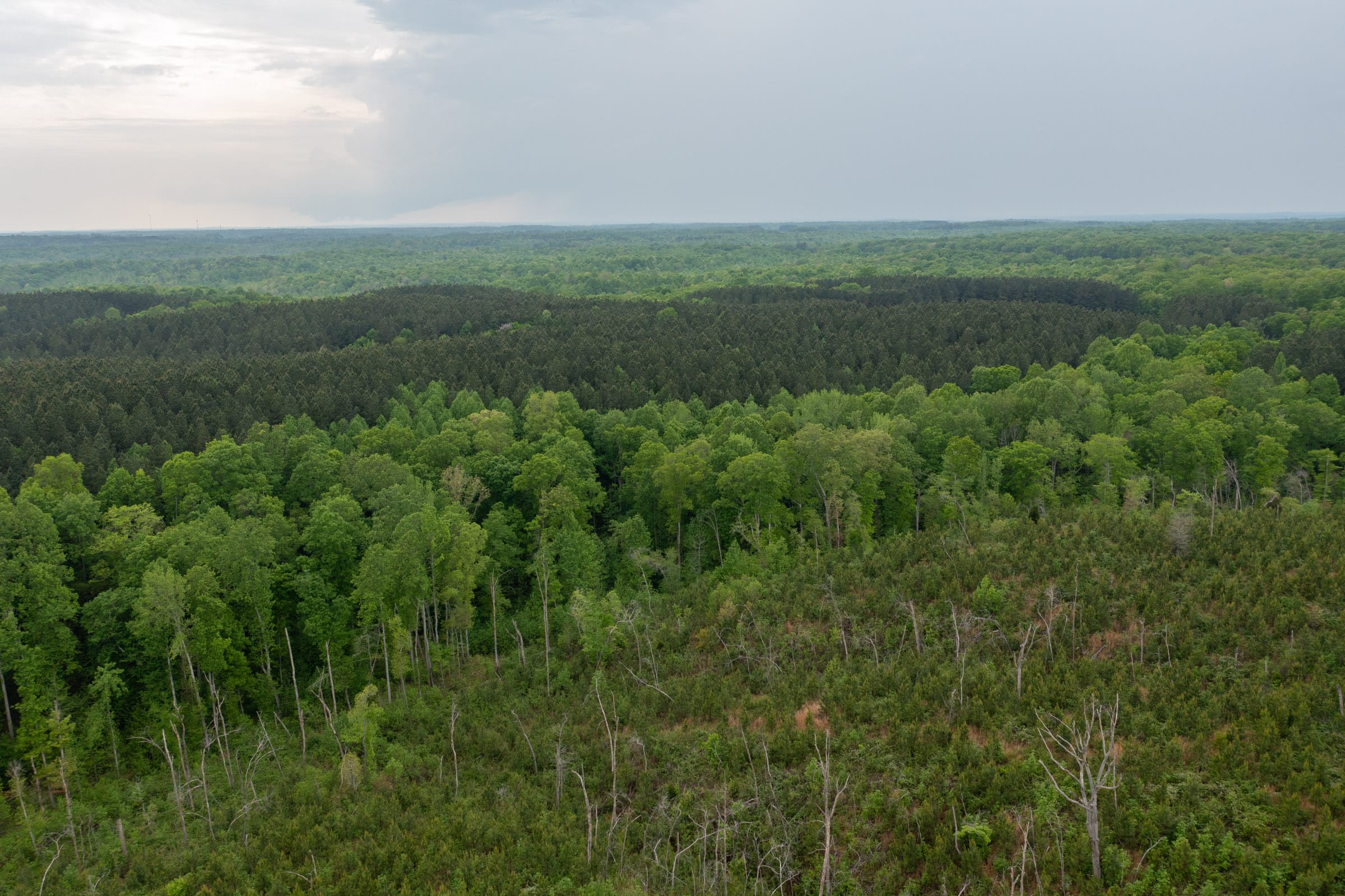 Red Barn Ranch Tract 37 photo 10