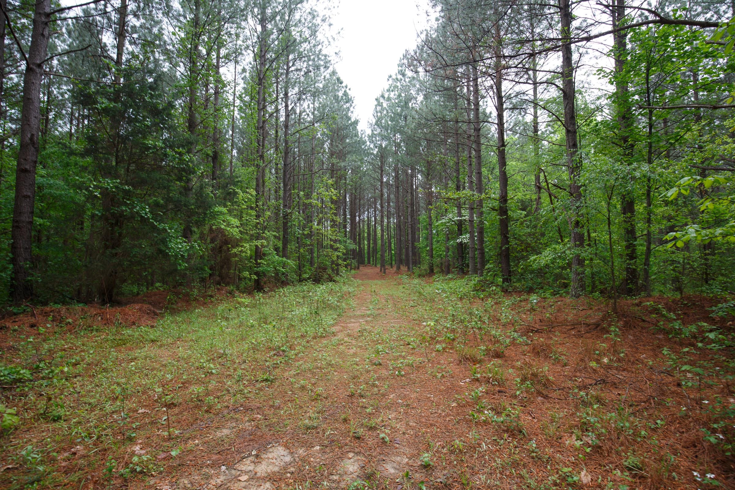 Red Barn Ranch Tract 37 photo 14