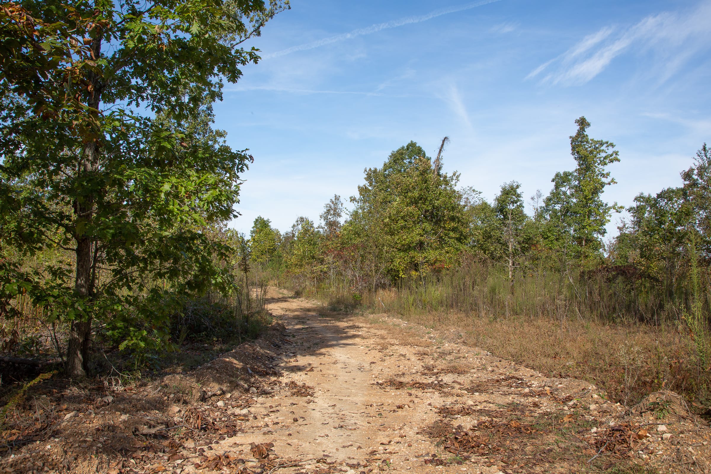 Borgmann’s Hollow Phase IV Tract 127 photo 2