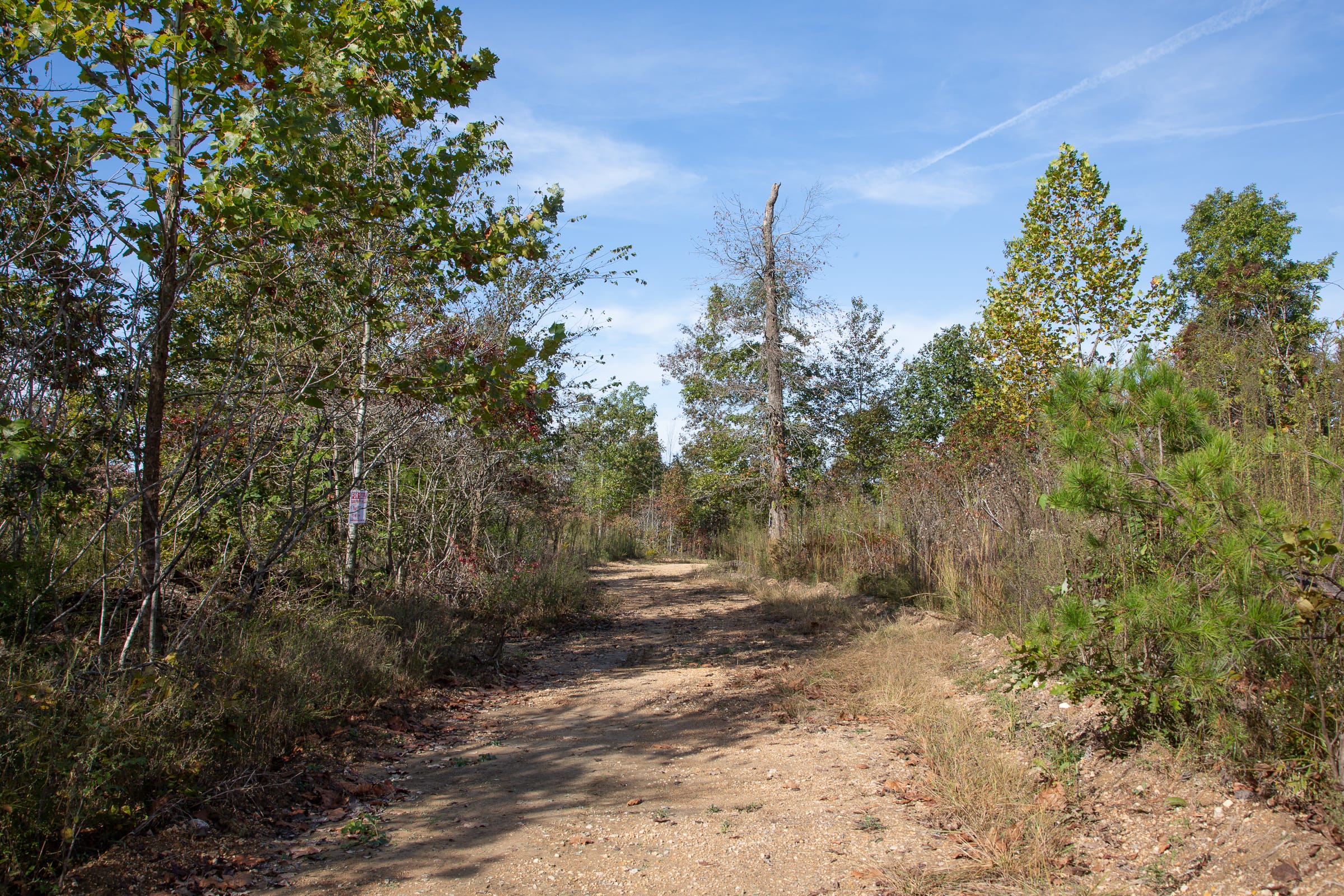 Borgmann’s Hollow Phase IV Tract 127 photo 9