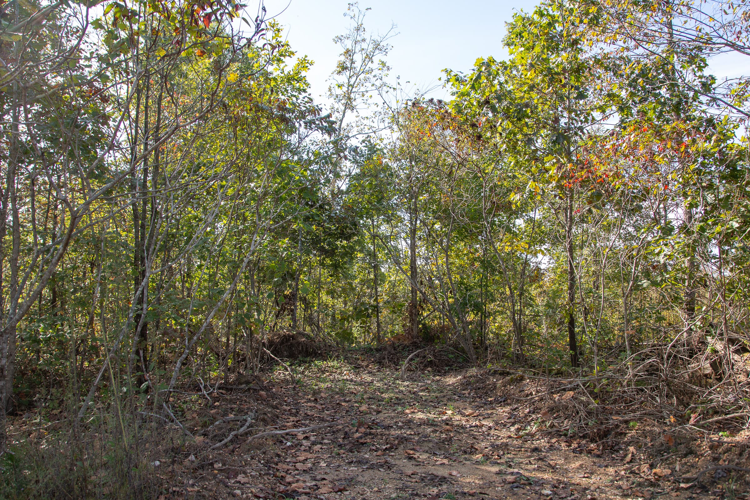 Borgmann’s Hollow Phase IV Tract 127 photo 8