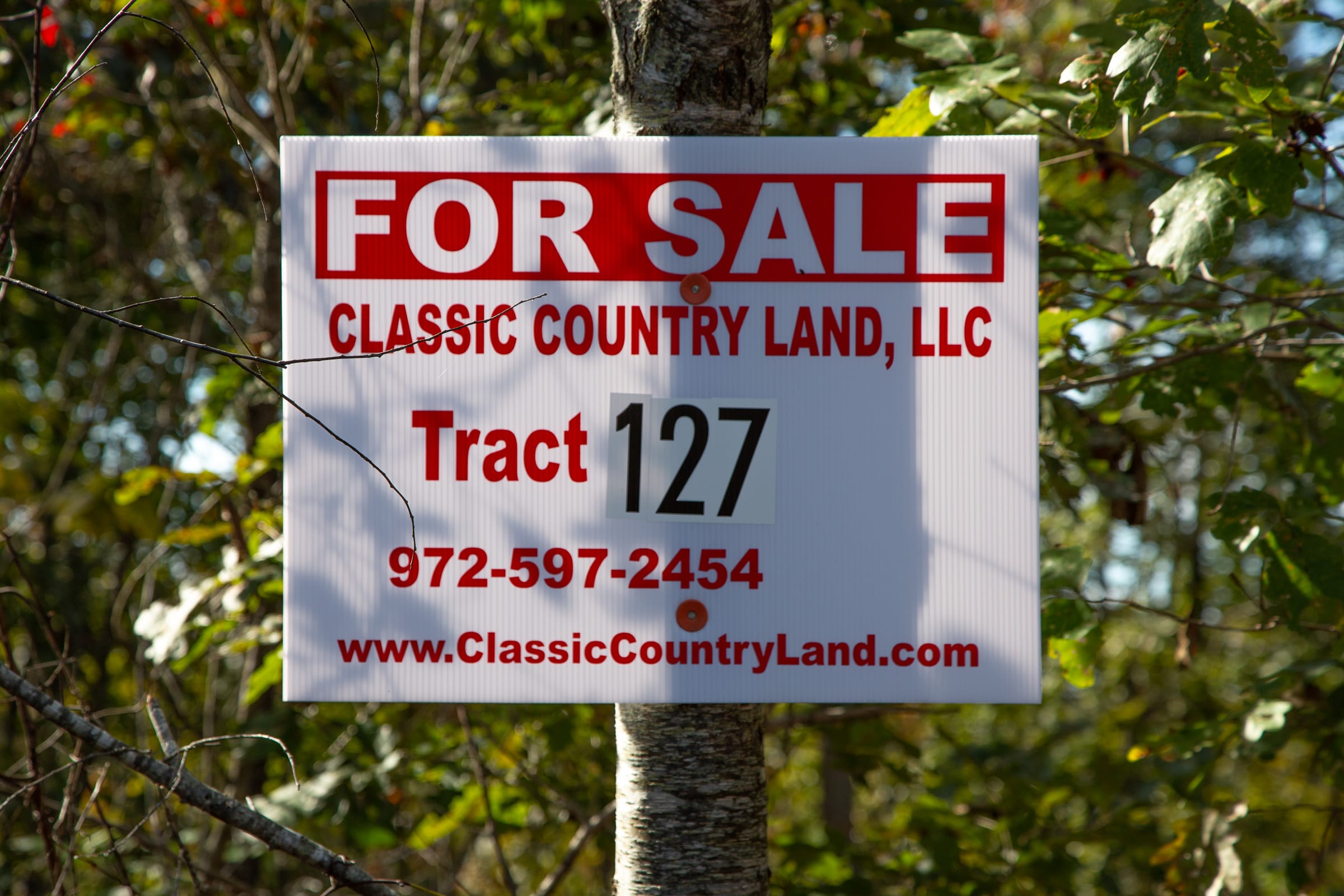 Borgmann’s Hollow Phase IV Tract 127 photo 1