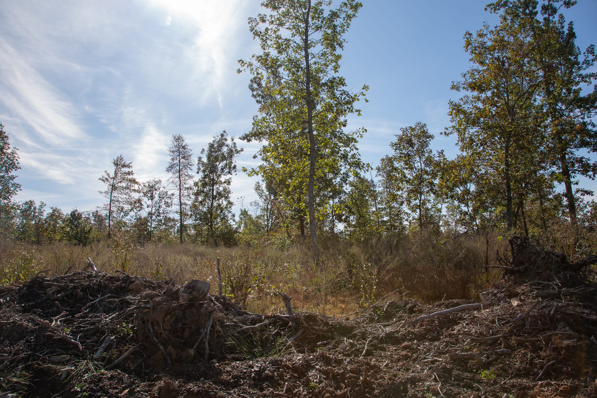 Borgmann’s Hollow Phase IV Tract 127 photo 17