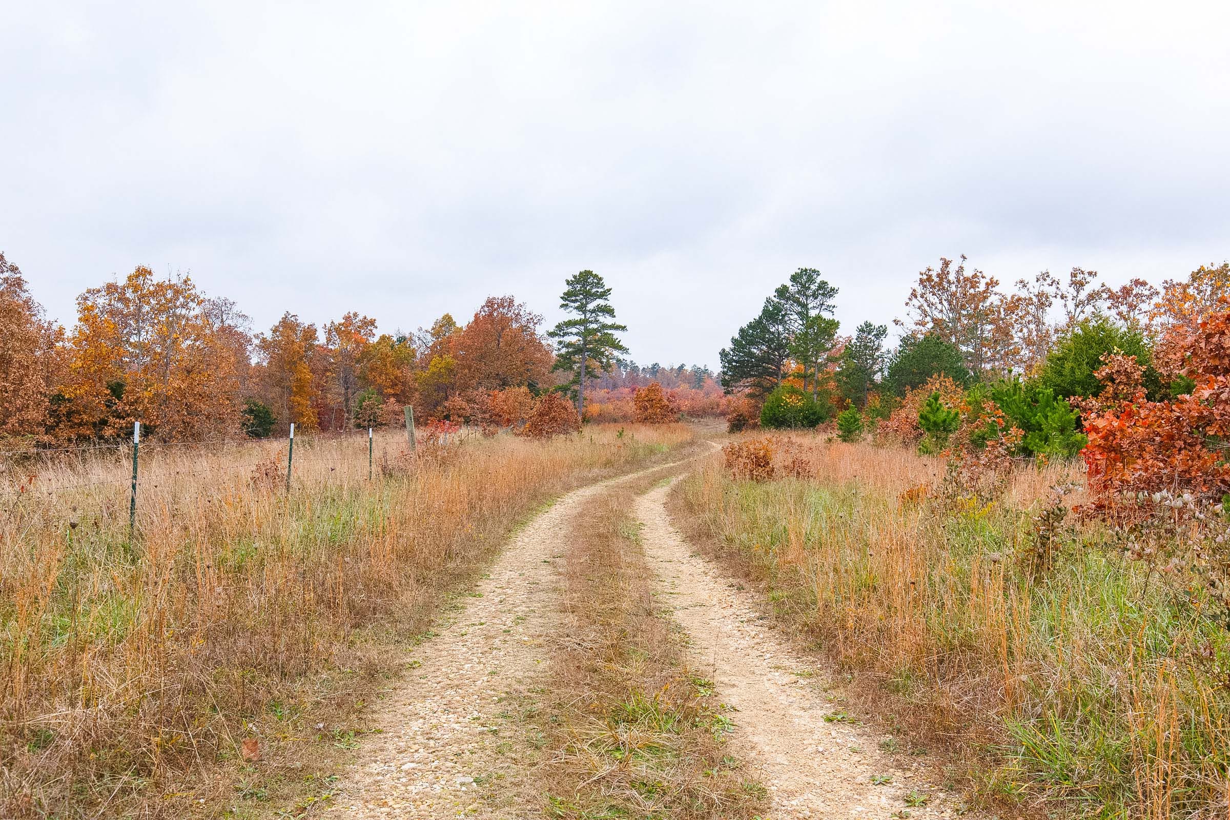 Hawkcrest Tract 13 photo 8