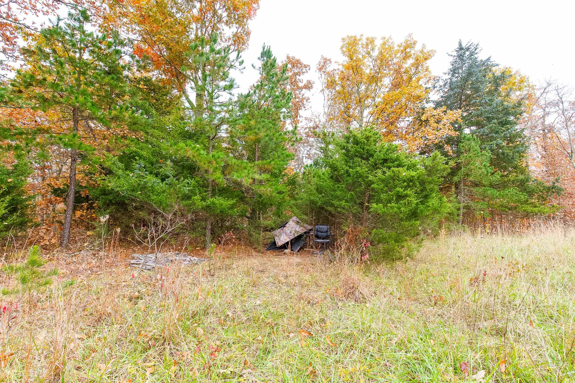 Hawkcrest Tract 13 photo 15