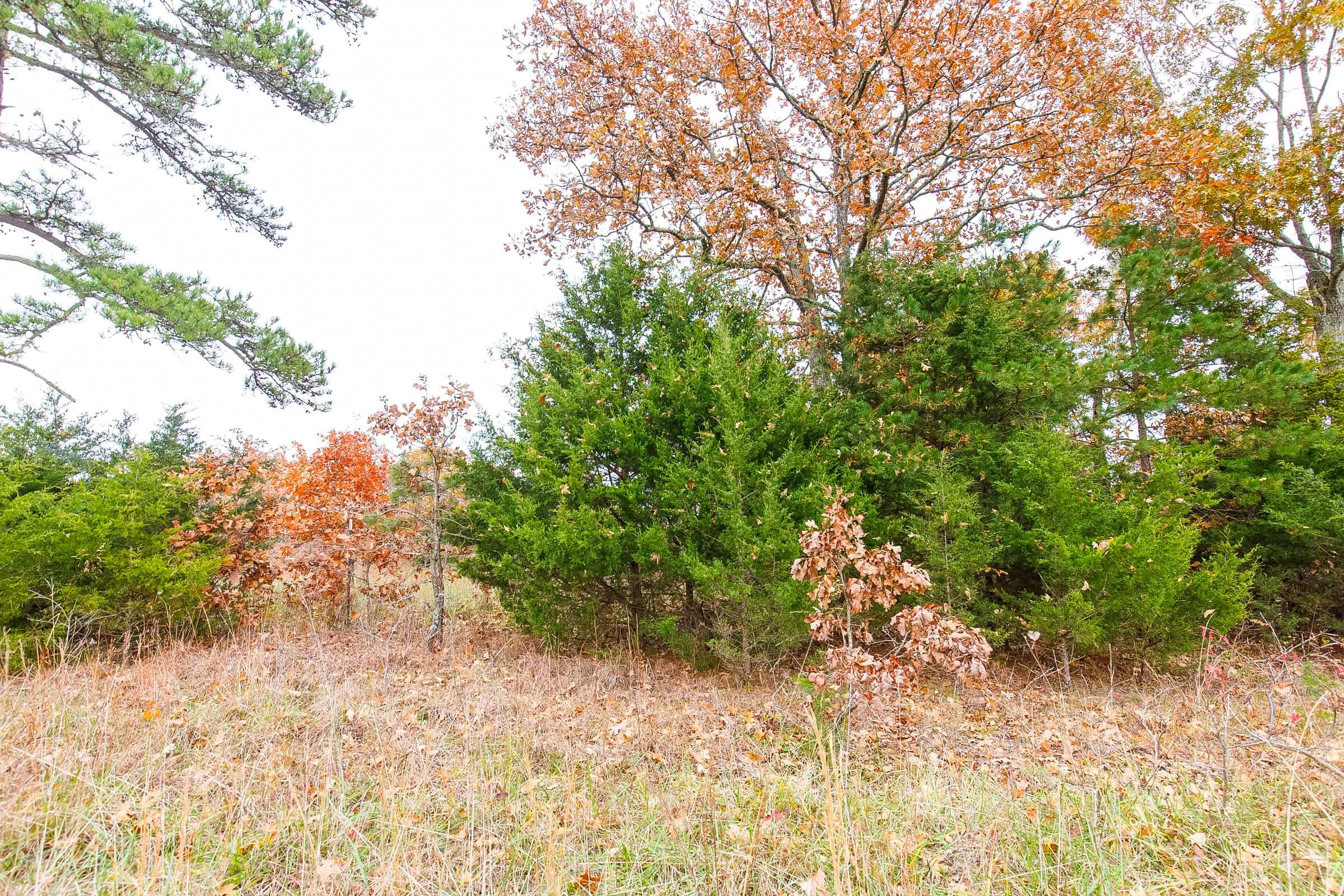 Hawkcrest Tract 13 photo 9