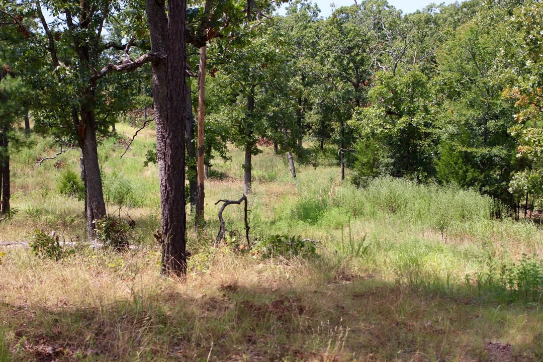 Lakeview Private Reserve Tract 2 photo 5