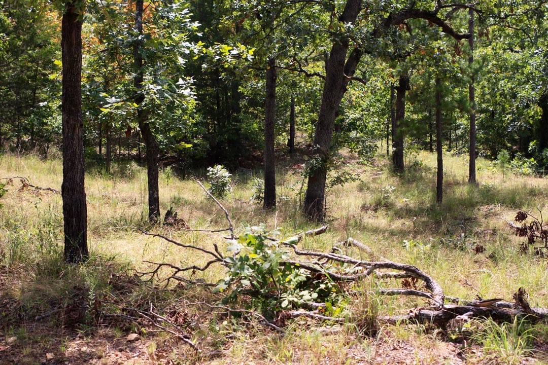 Lakeview Private Reserve Tract 2 photo 7