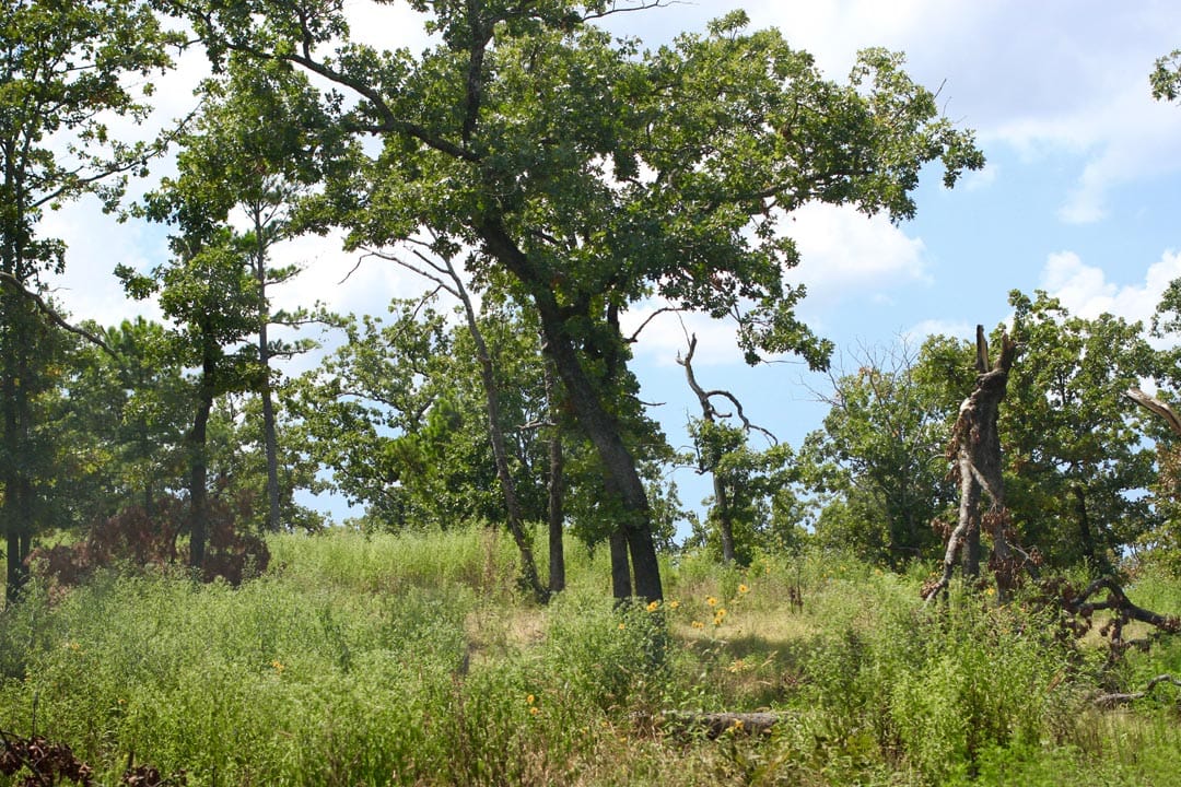 Lakeview Private Reserve Tract 2 photo 9