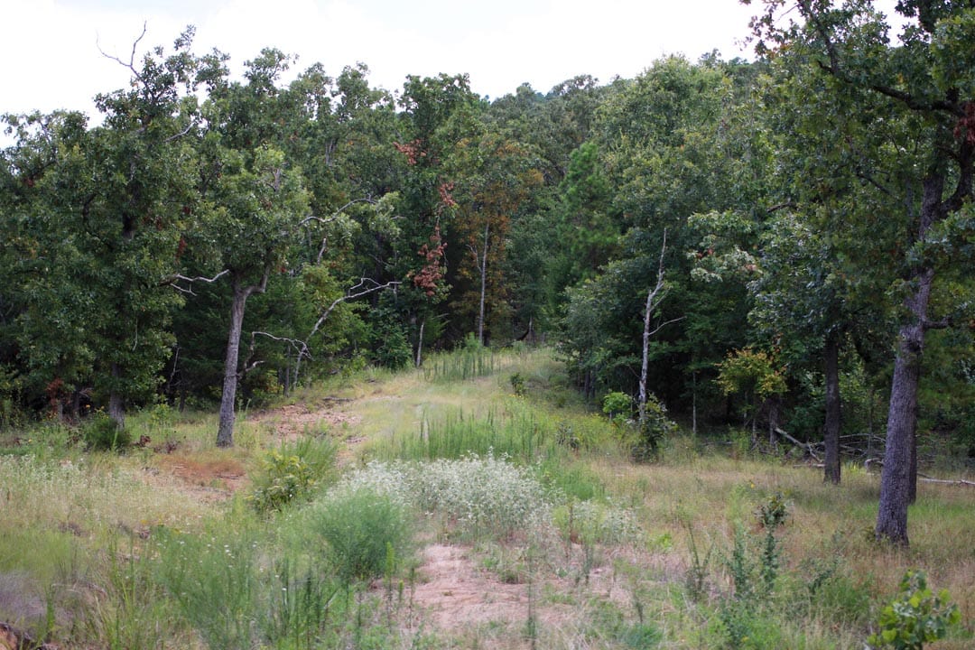 Lakeview Private Reserve Tract 2 photo 12