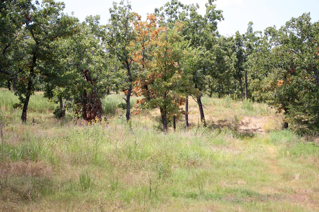Lakeview Private Reserve Tract 2 photo 13