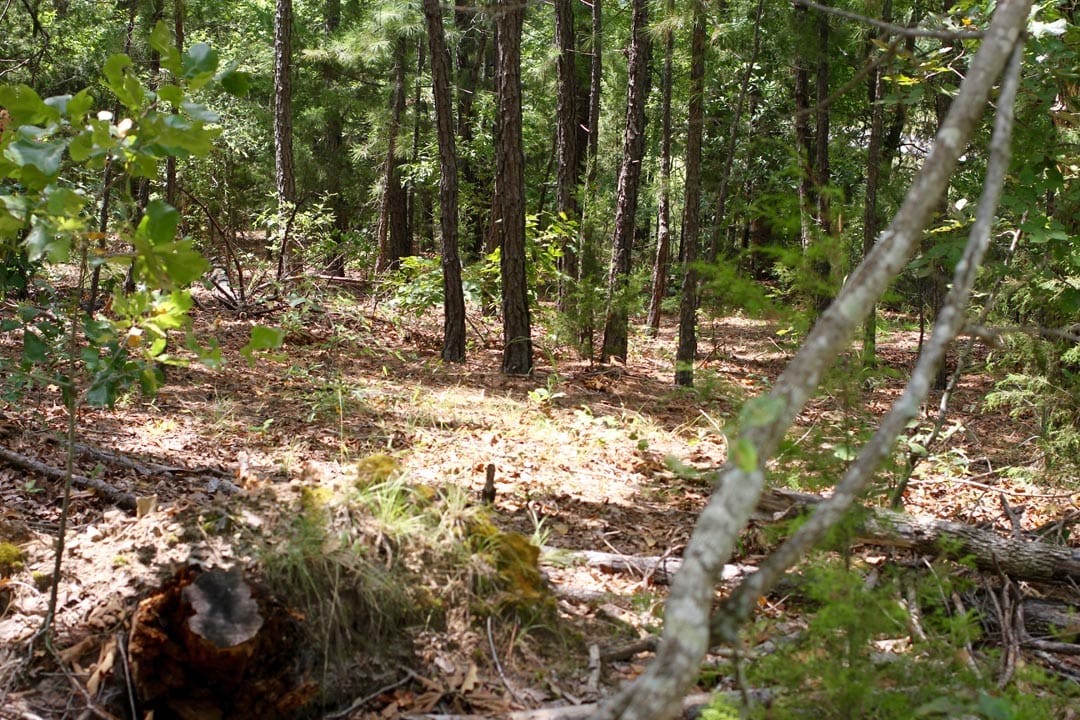 Lakeview Private Reserve Tract 2 photo 19