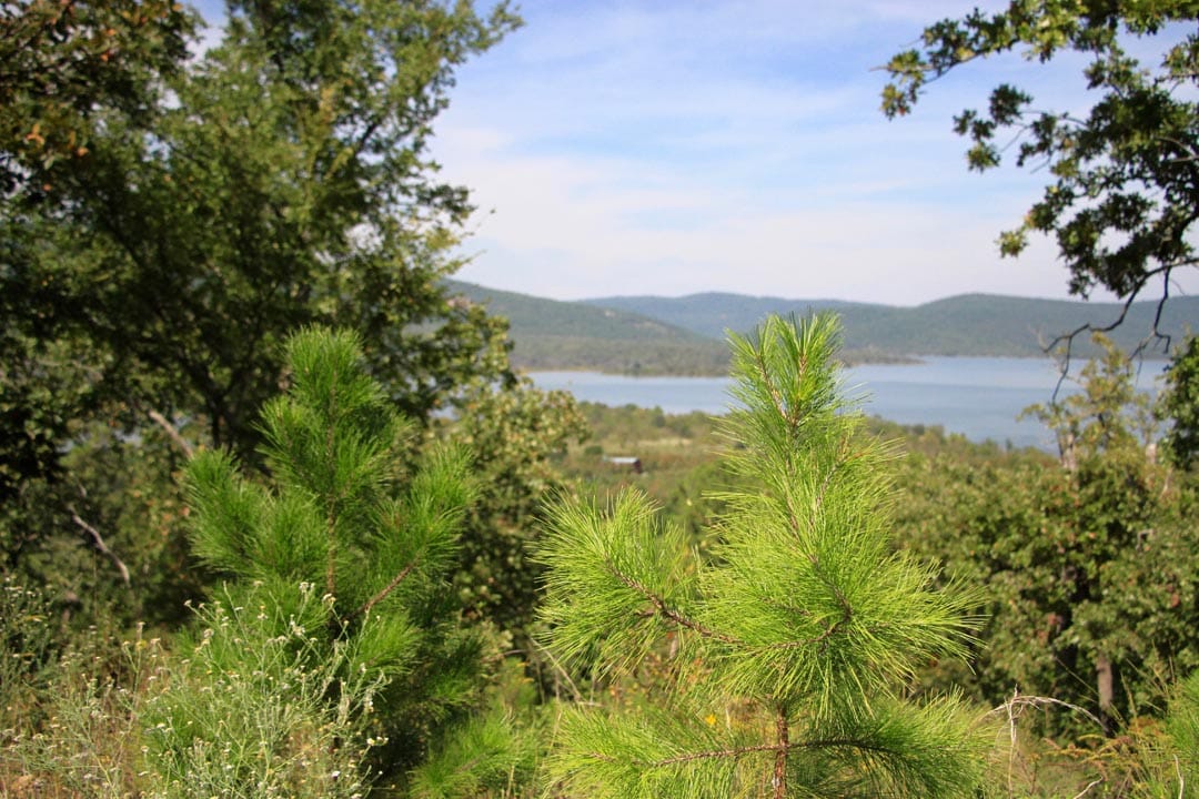 Lakeview Private Reserve Tract 2 photo 20
