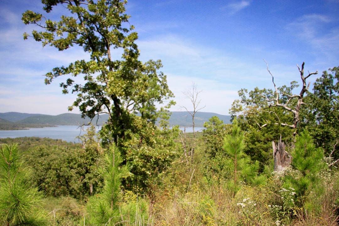 Lakeview Private Reserve Tract 2 photo 21