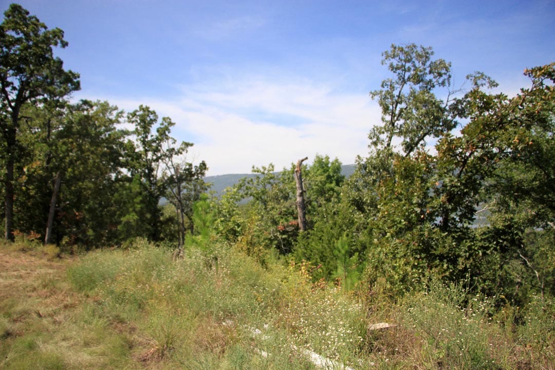 Lakeview Private Reserve Tract 2 photo 22