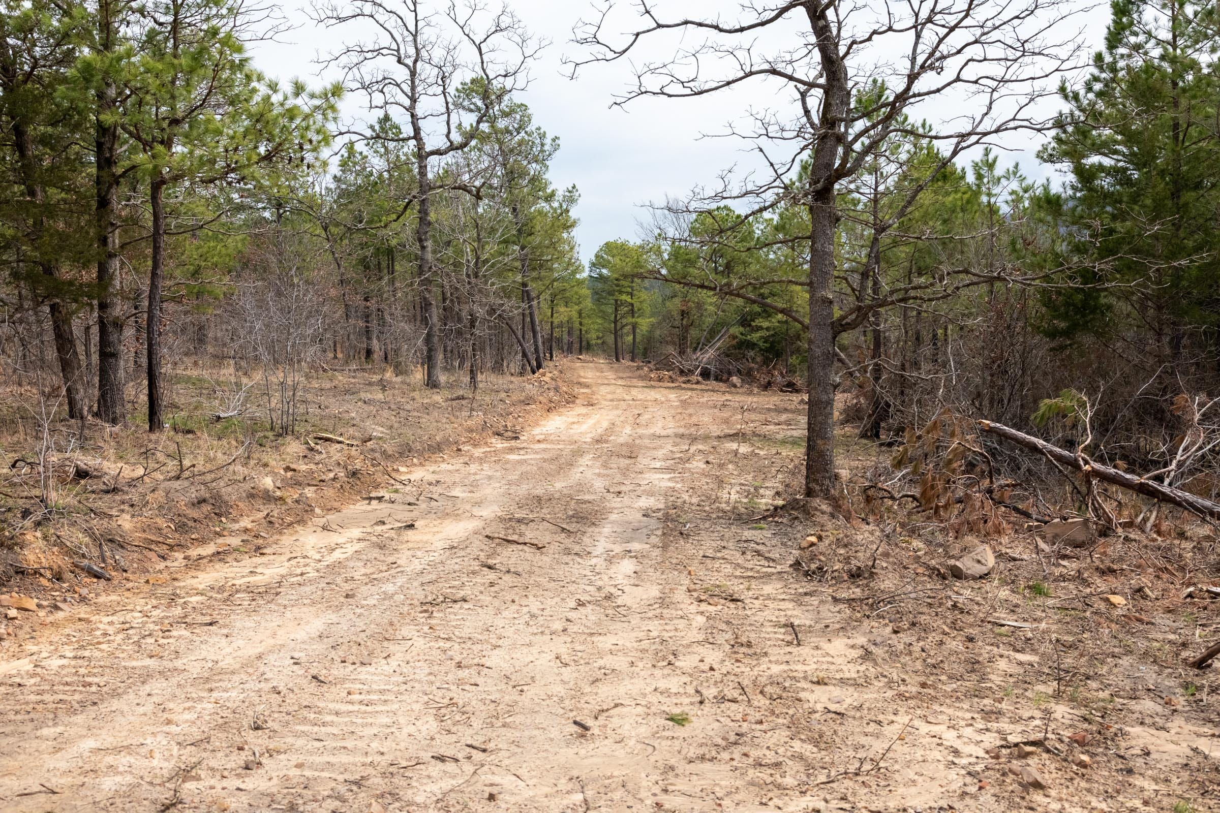 Stone Bridge Phase III Tract 197 photo 4