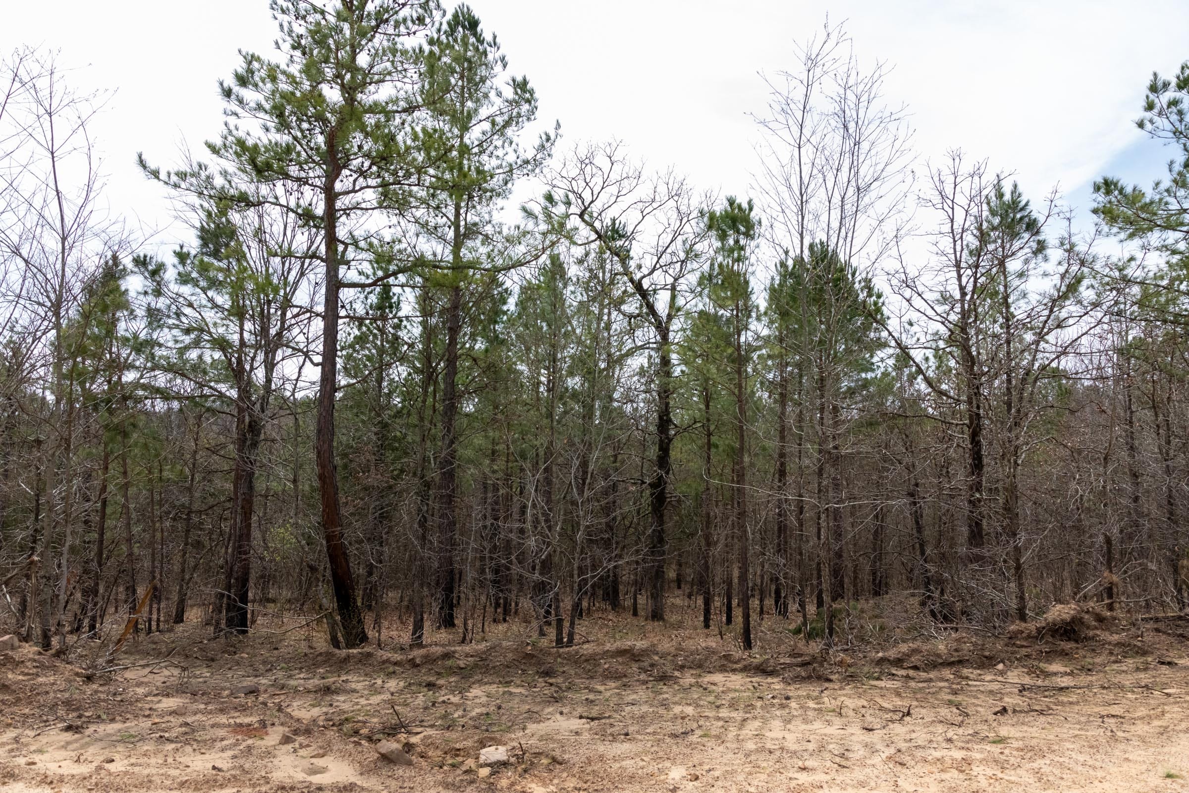 Stone Bridge Phase III Tract 197 photo 2