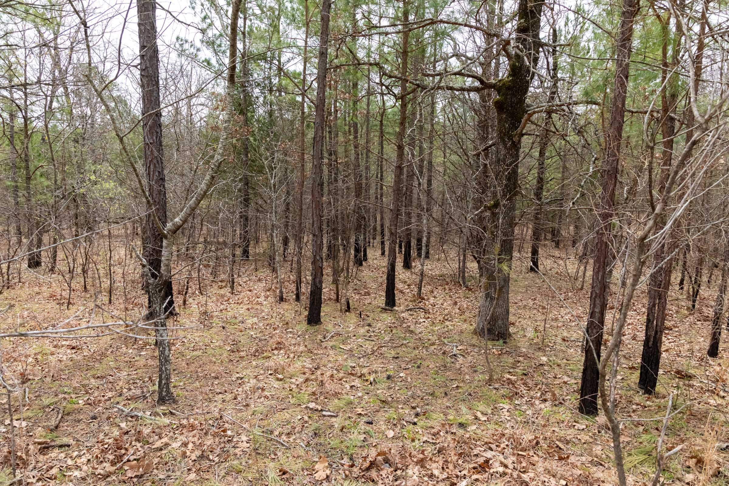 Stone Bridge Phase III Tract 197 photo 3