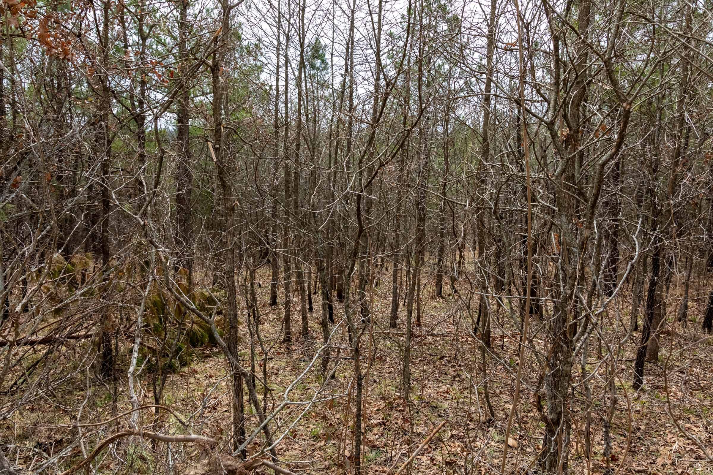 Stone Bridge Phase III Tract 197 photo 5