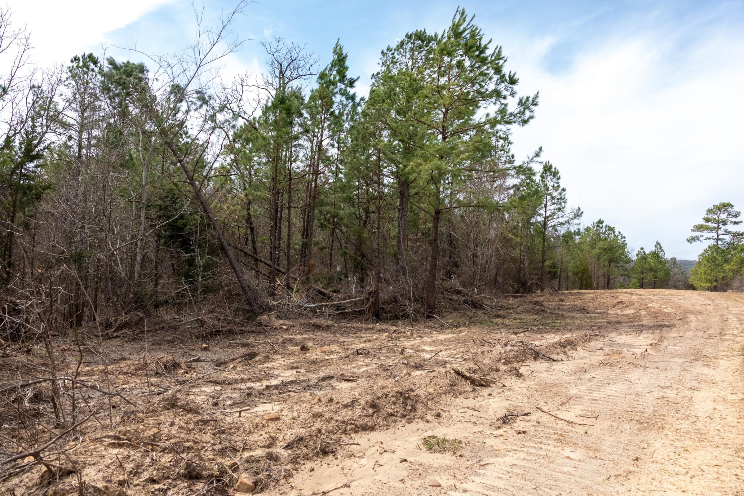 Stone Bridge Phase III Tract 197 photo 11