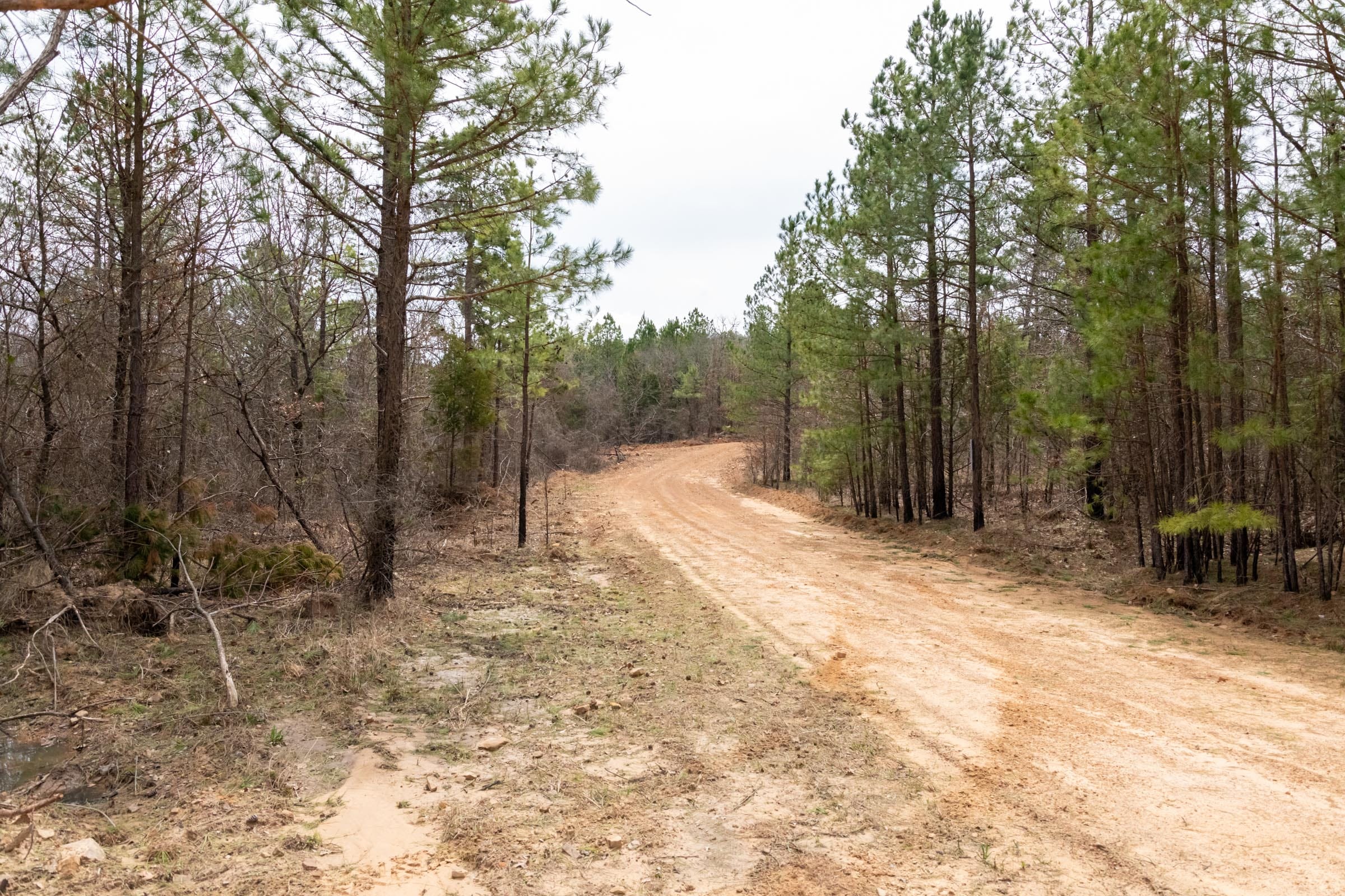Stone Bridge Phase III Tract 197 photo 7